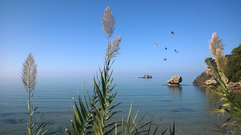 Yaliskari Beach Πέλεκας Εξωτερικό φωτογραφία